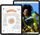 https://cdn.reebelo.com/pim/products/P-APPLEIPADAIR62024/STA-image-9.jpg