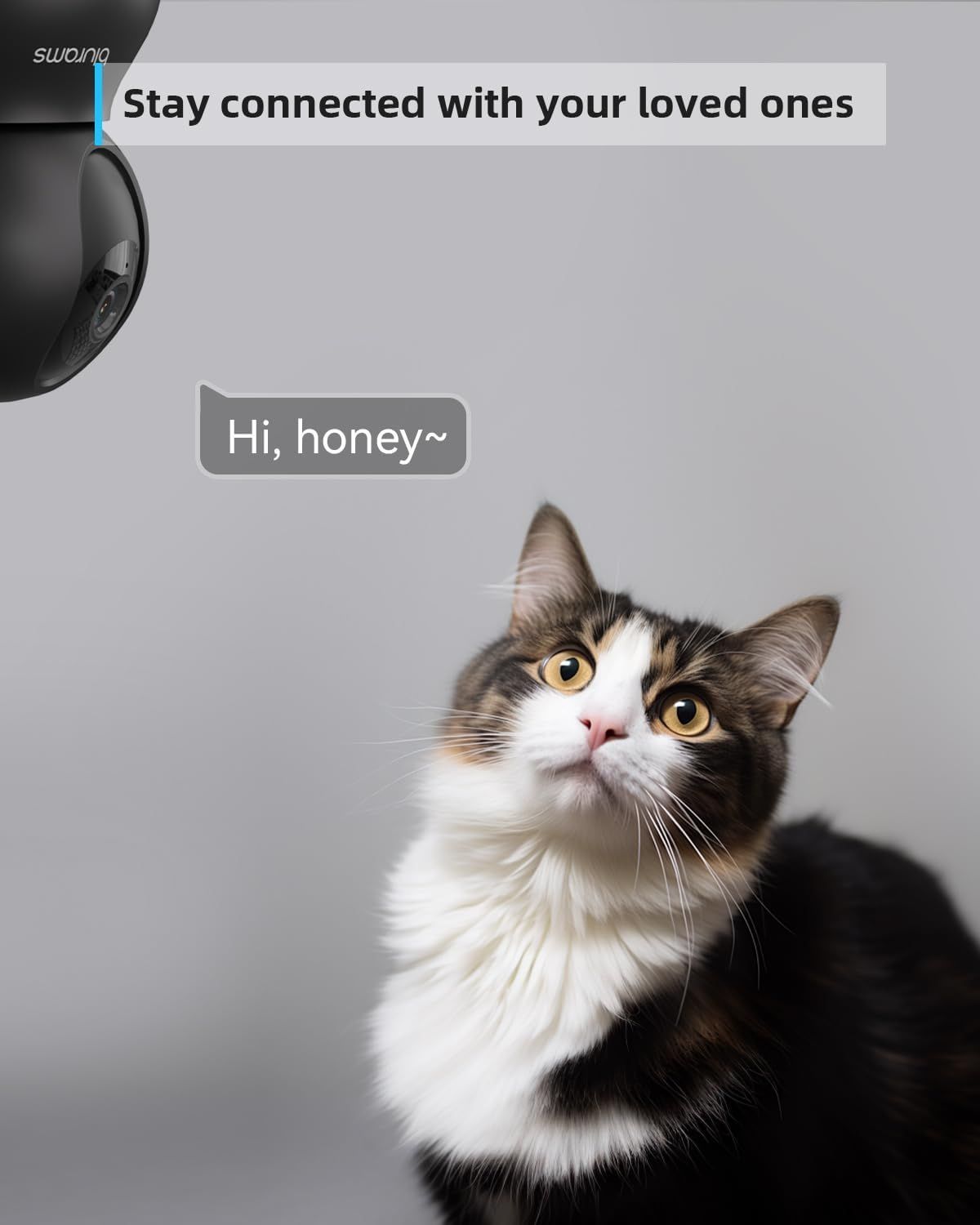 Blurams A31 Dome Lite Security Camera