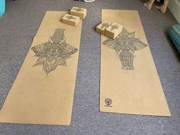 Valka Yoga Friends with Benefits