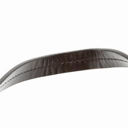 Louis Vuitton Damier Ebene Iena MM Tote