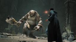 Sony PS4 Hogwarts Legacy Video Game