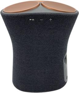Sony SRS-RA5000 Premium Wireless Speaker