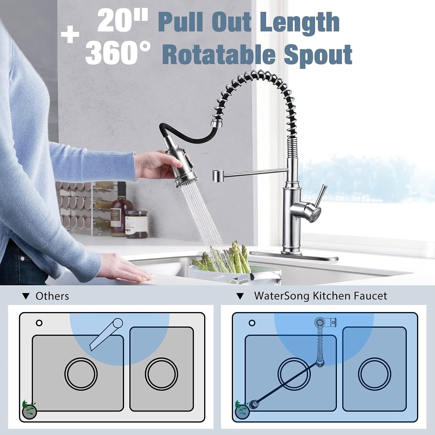 WaterSong Kitchen Sink Pull-Down Faucet WS062100BN